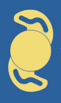 lens icon